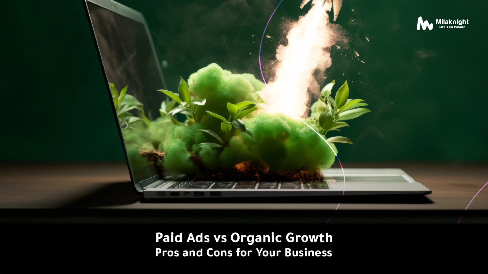 Paid Ads vs Organic Growth | Pros and Cons for Your Business
