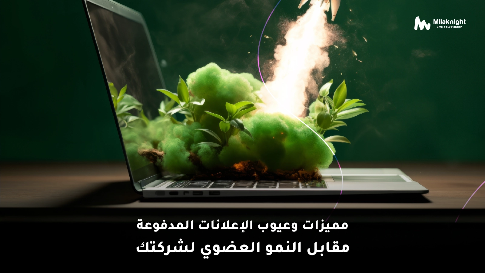 الإعلانات المدفوعة مقابل النمو العضوي | إيجابيات وسلبيات لشركتك